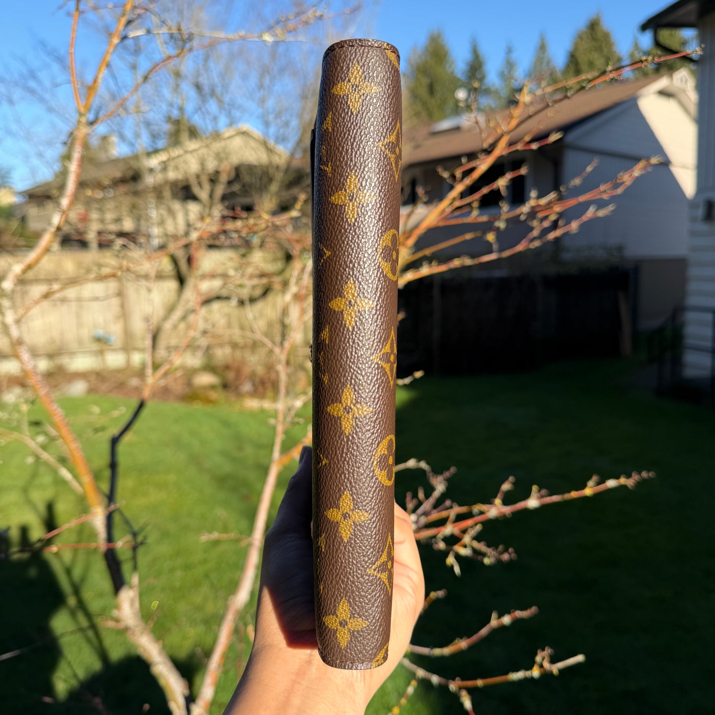 Louis Vuitton Pochette Bordeaux