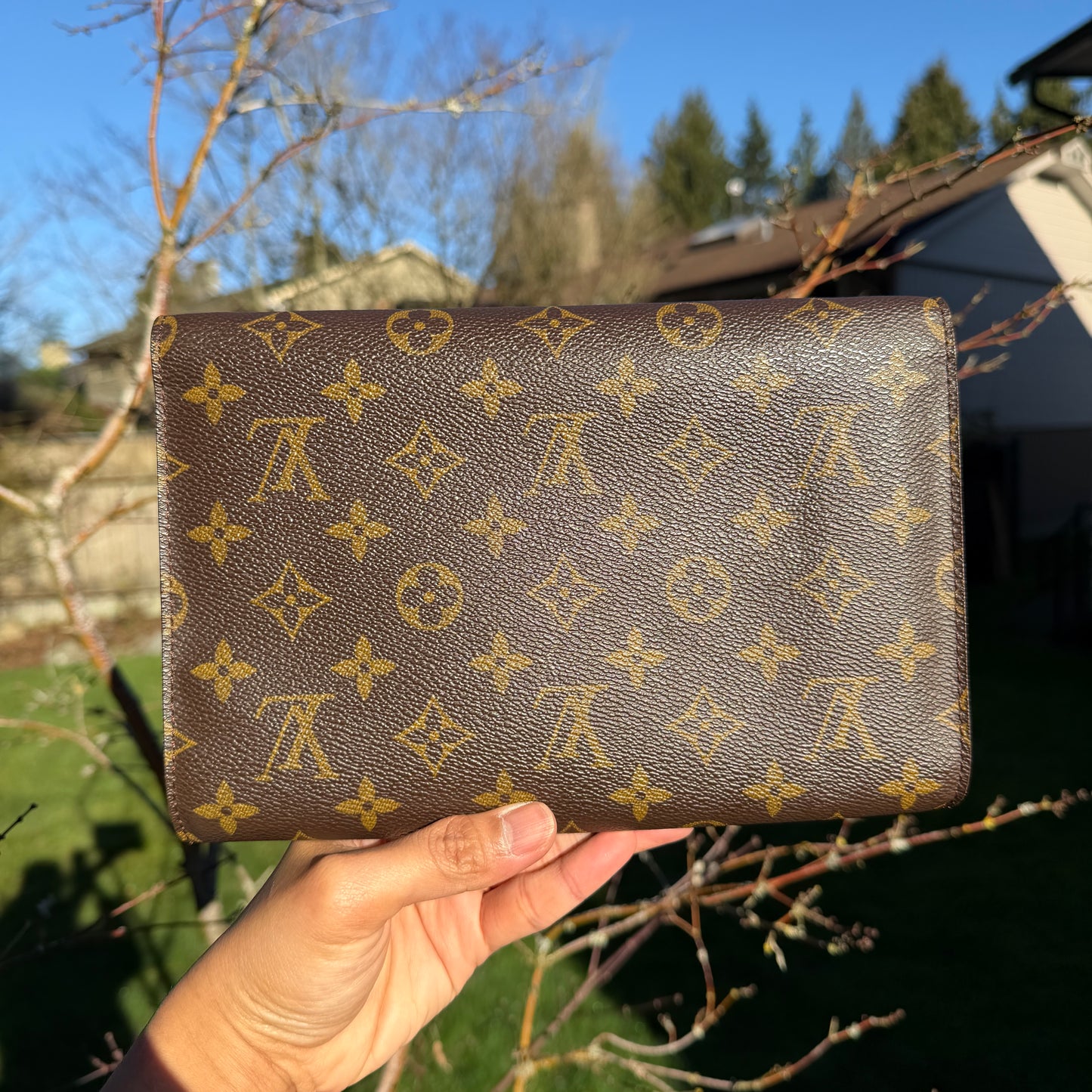 Louis Vuitton Pochette Bordeaux