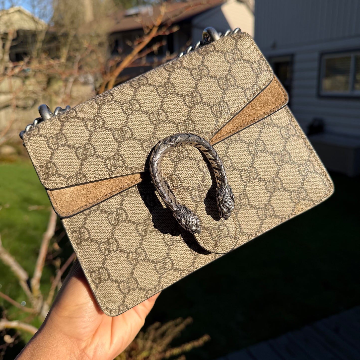 Gucci Dionysus Bag