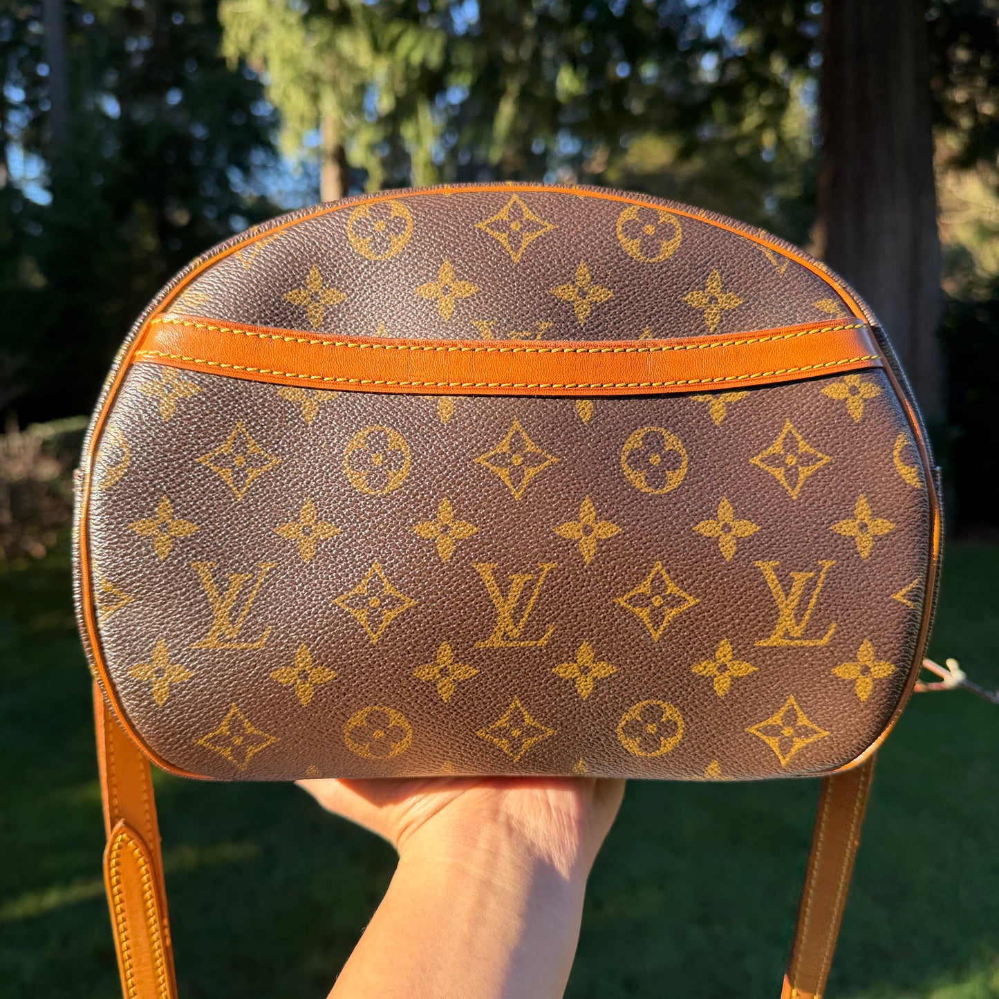 Louis Vuitton Blois bag