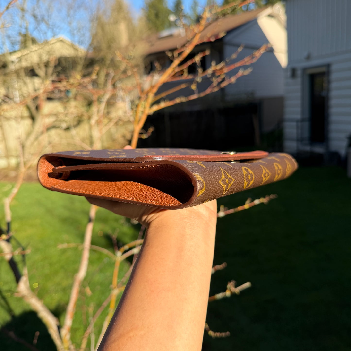 Louis Vuitton Pochette Bordeaux