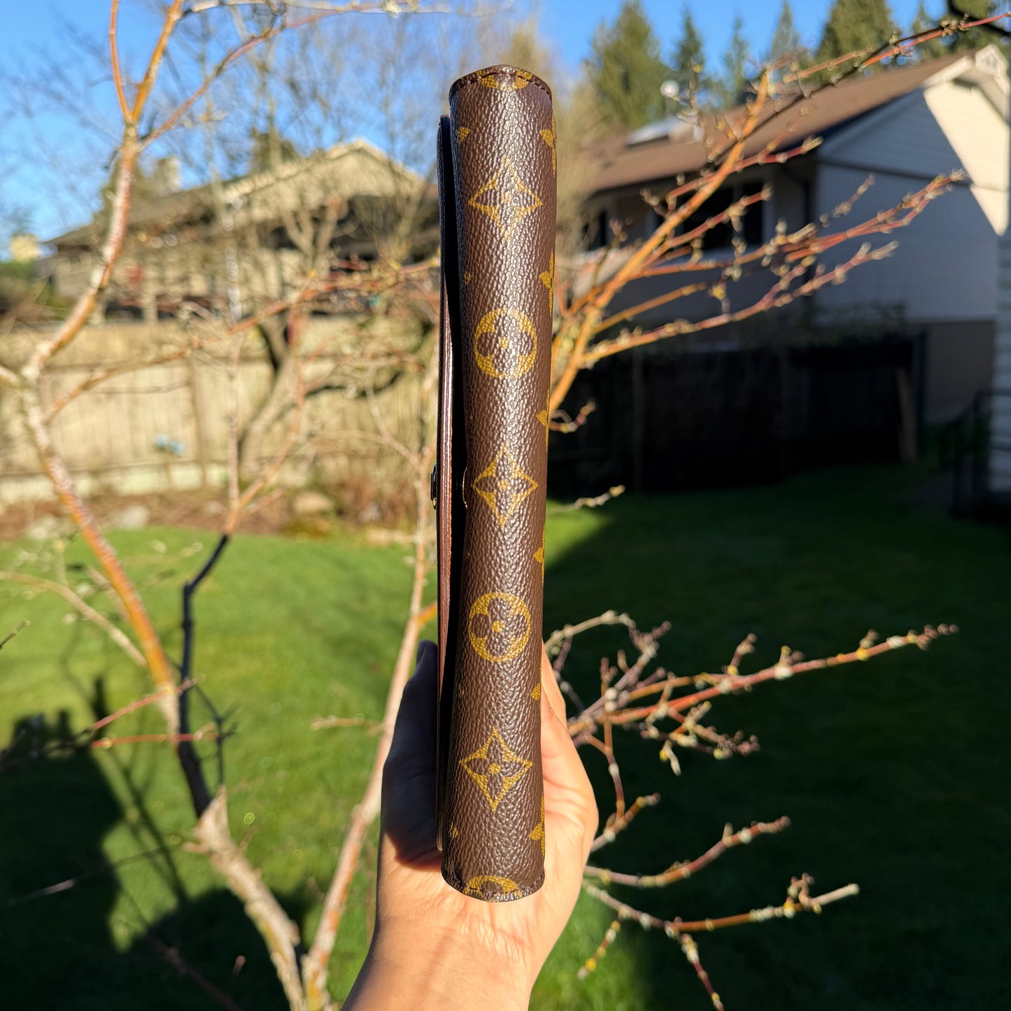 Louis Vuitton Pochette Bordeaux