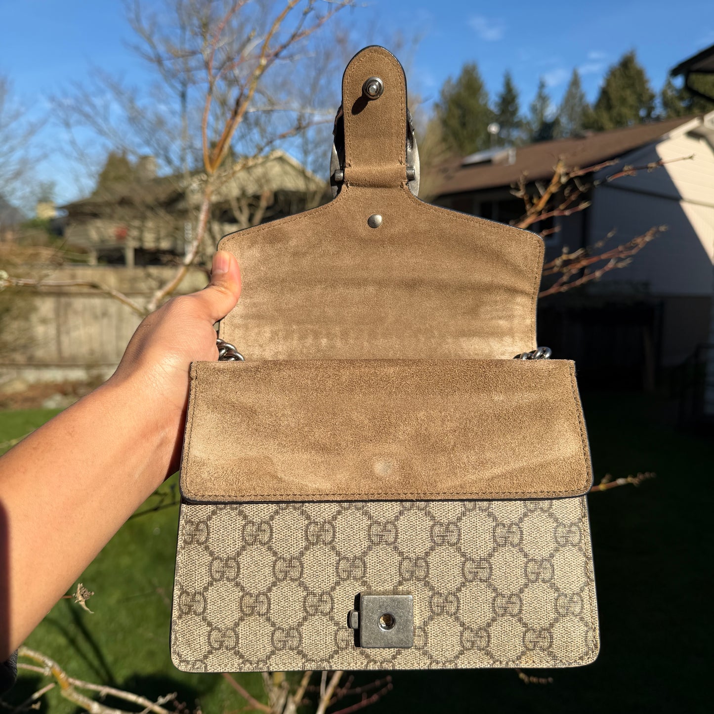 Gucci Dionysus Bag