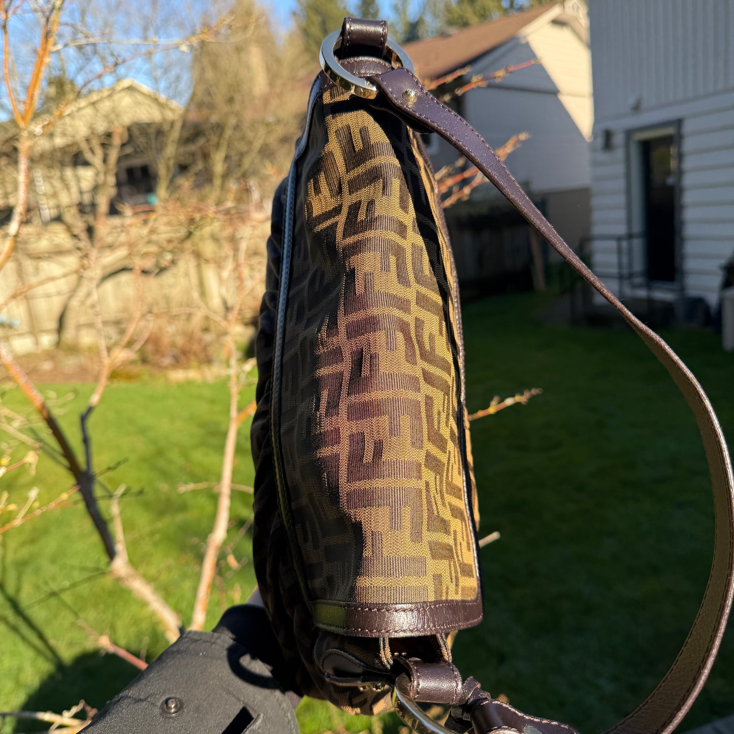 Fendi Zucca Bag