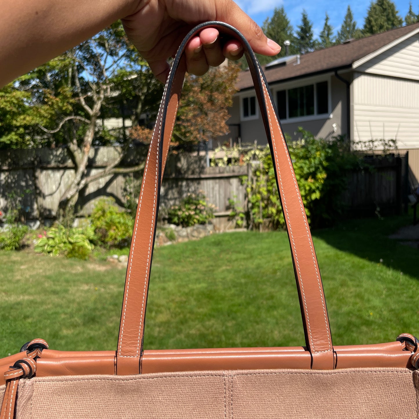 Loewe Cushion Tote bag