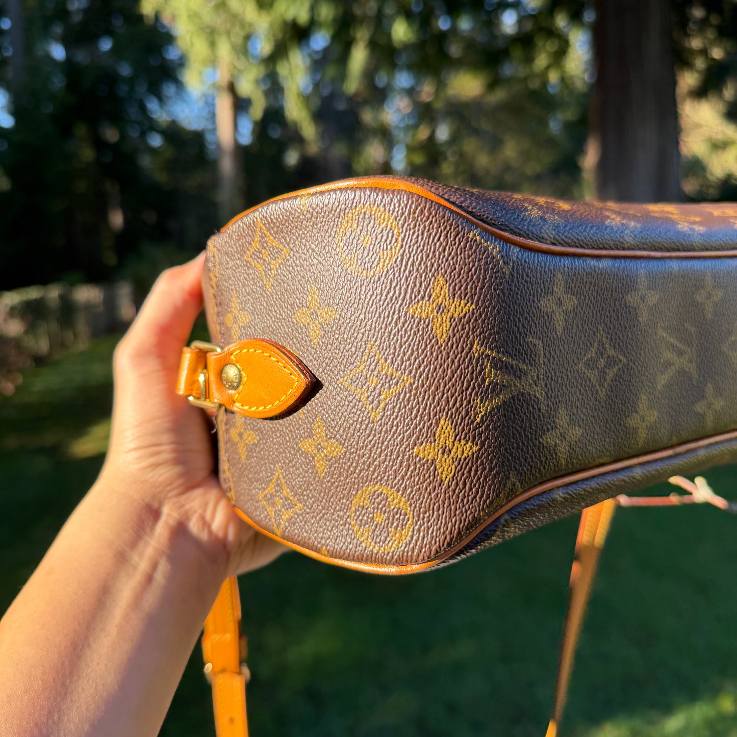 Louis Vuitton Blois bag