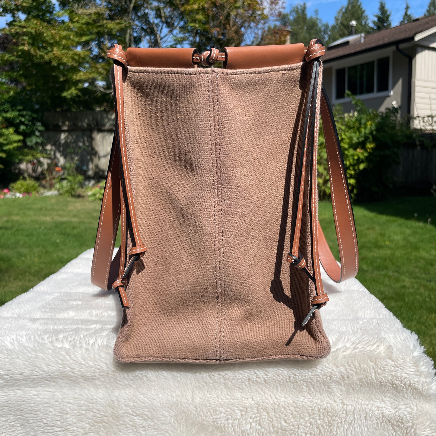 Loewe Cushion Tote bag