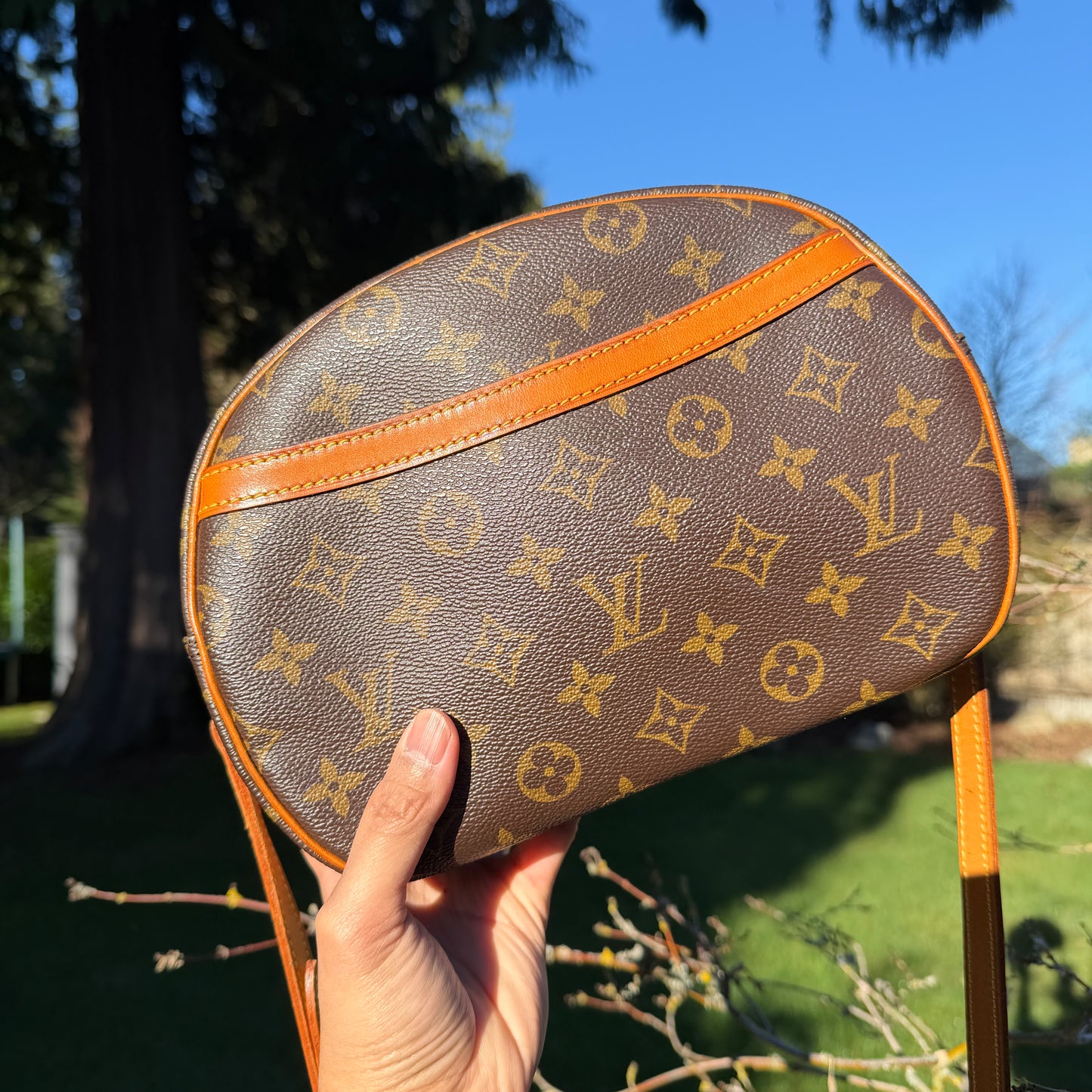 Louis Vuitton Blois bag