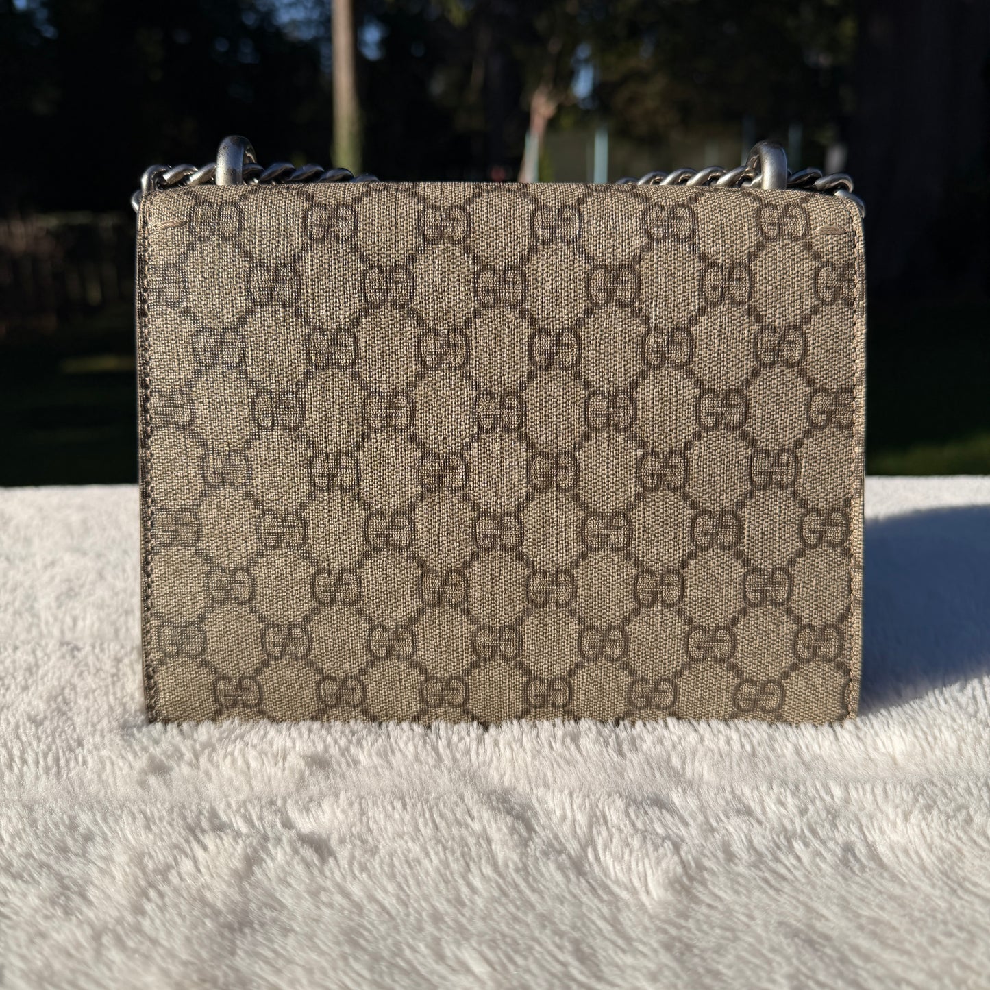 Gucci Dionysus Bag