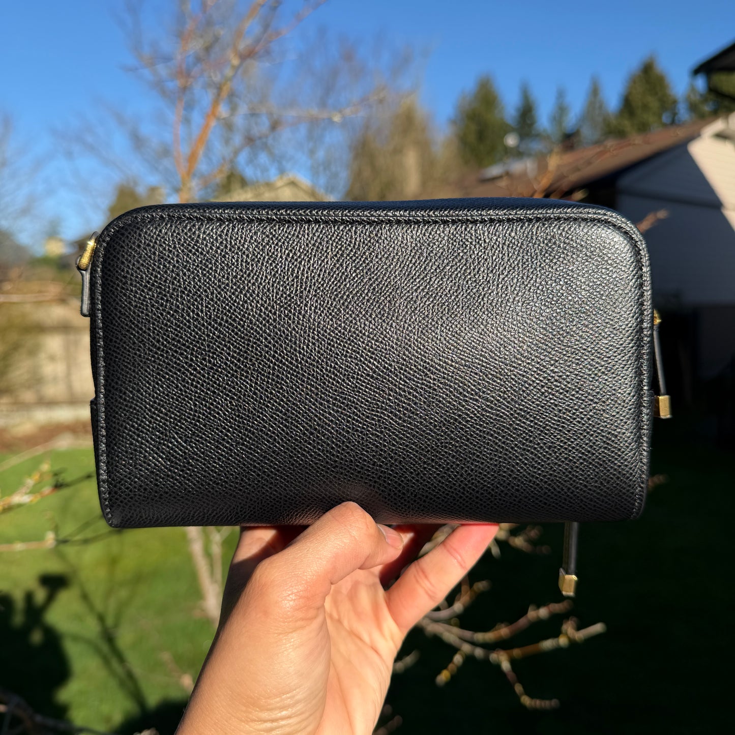 Dior Caro Bag