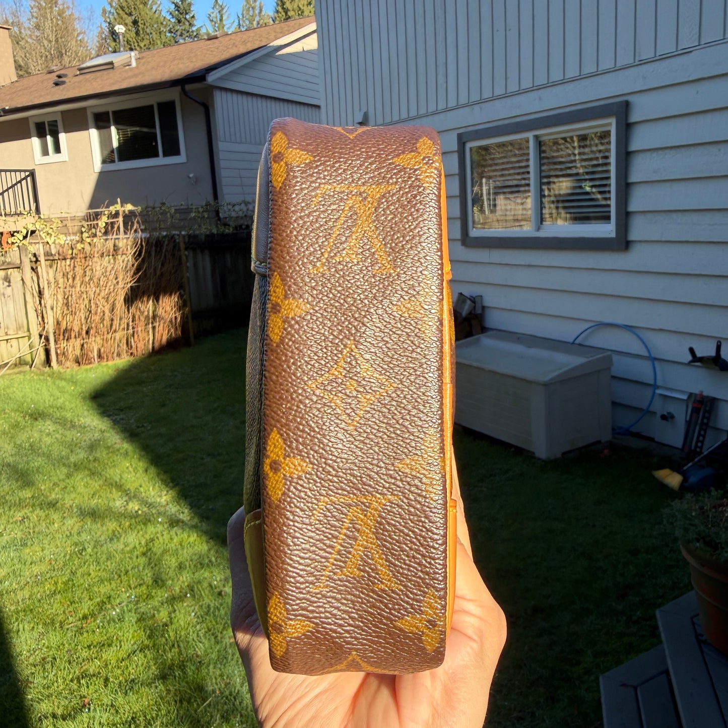Louis Vuitton Danube Bag