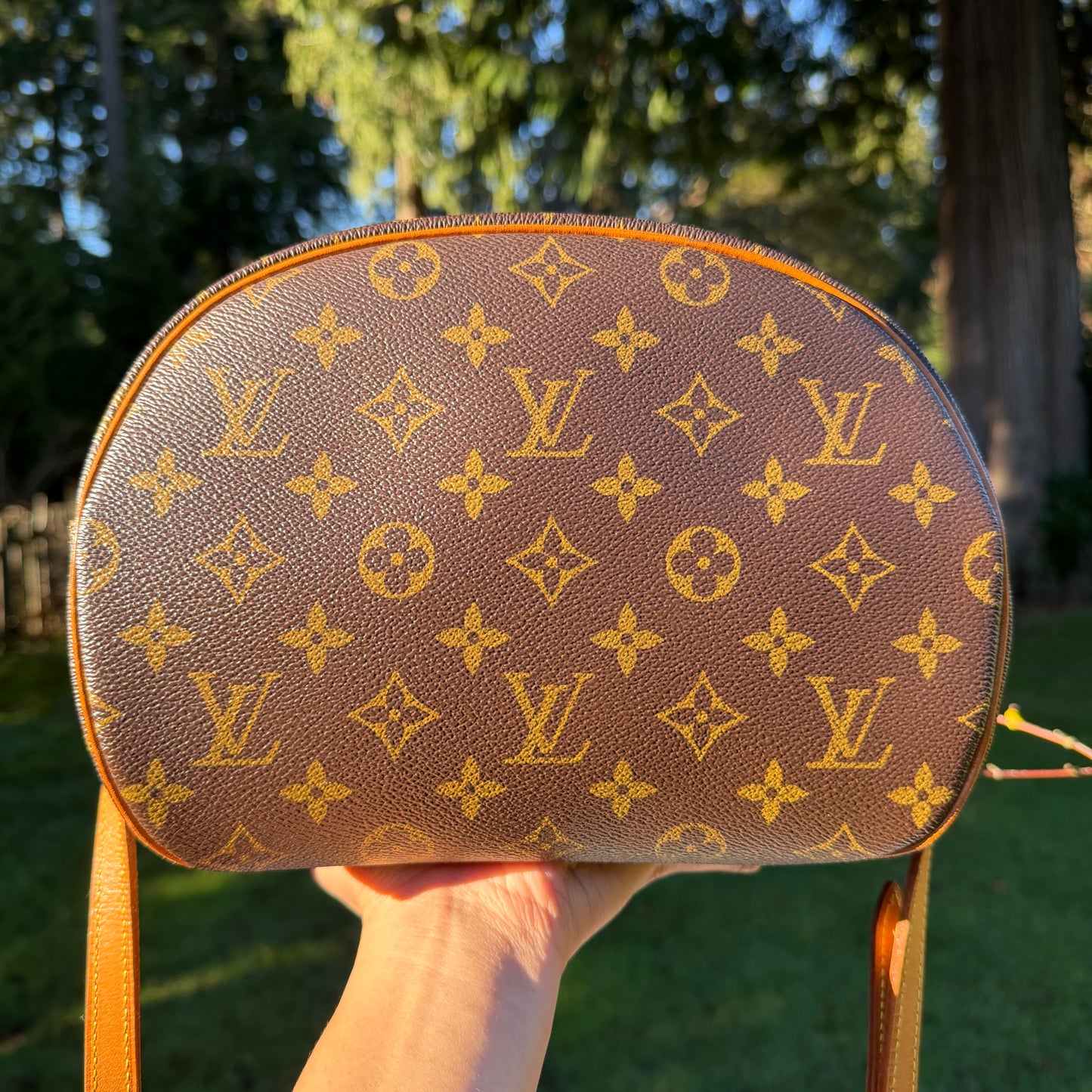 Louis Vuitton Blois bag