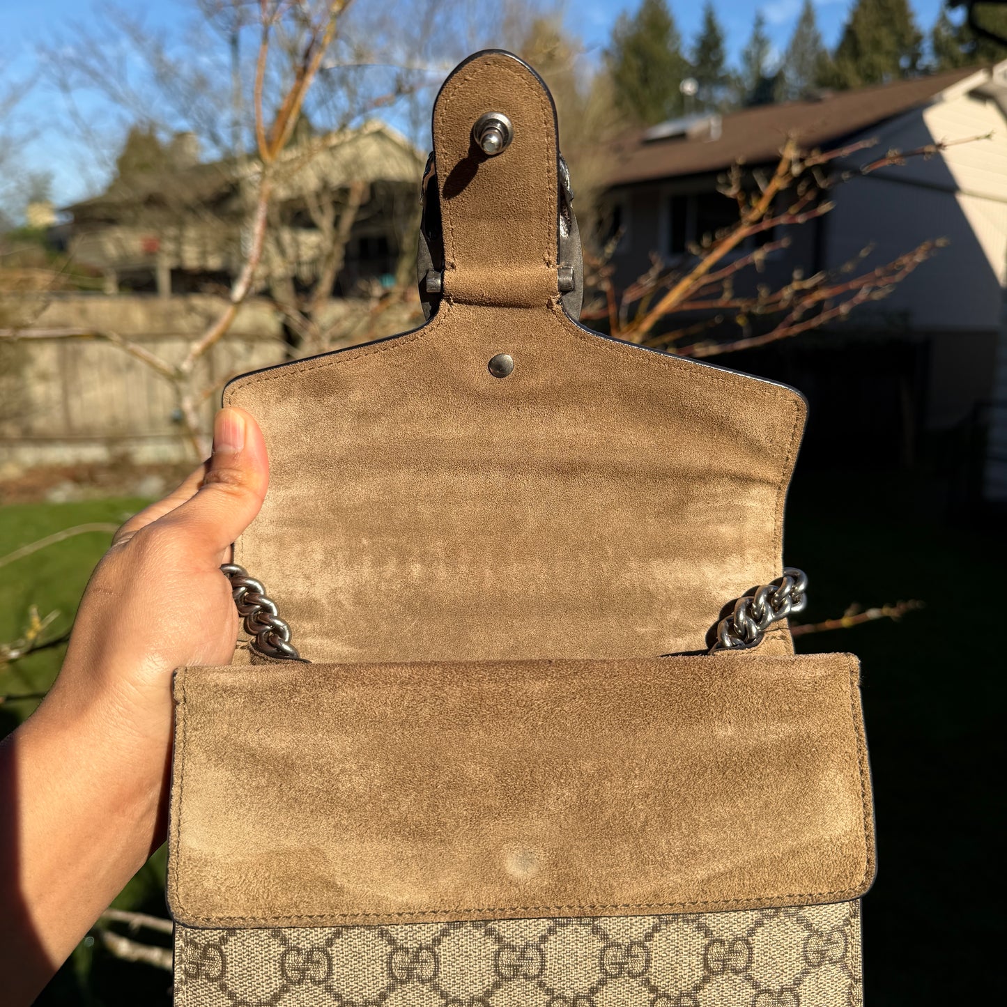 Gucci Dionysus Bag
