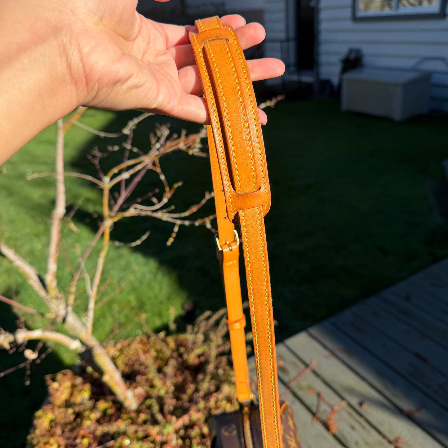 Louis Vuitton Blois bag