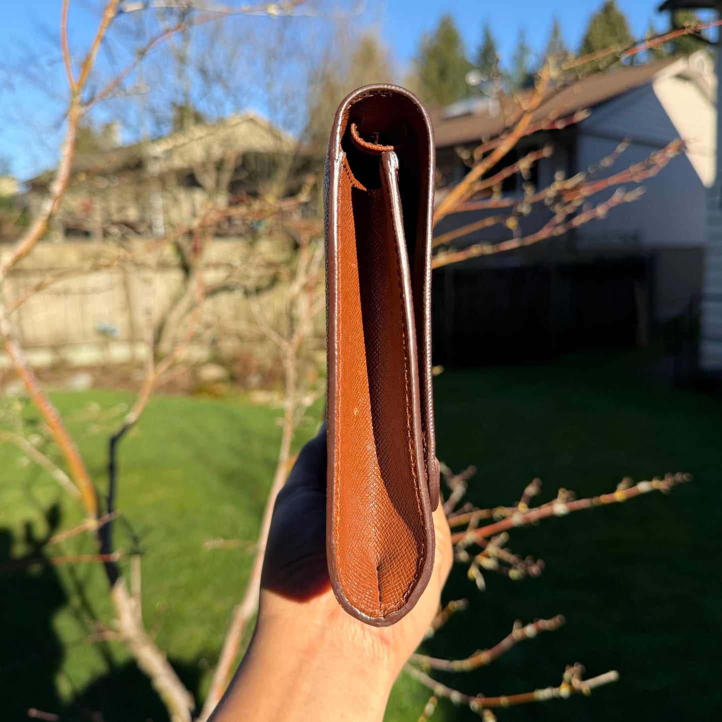 Louis Vuitton Pochette Bordeaux