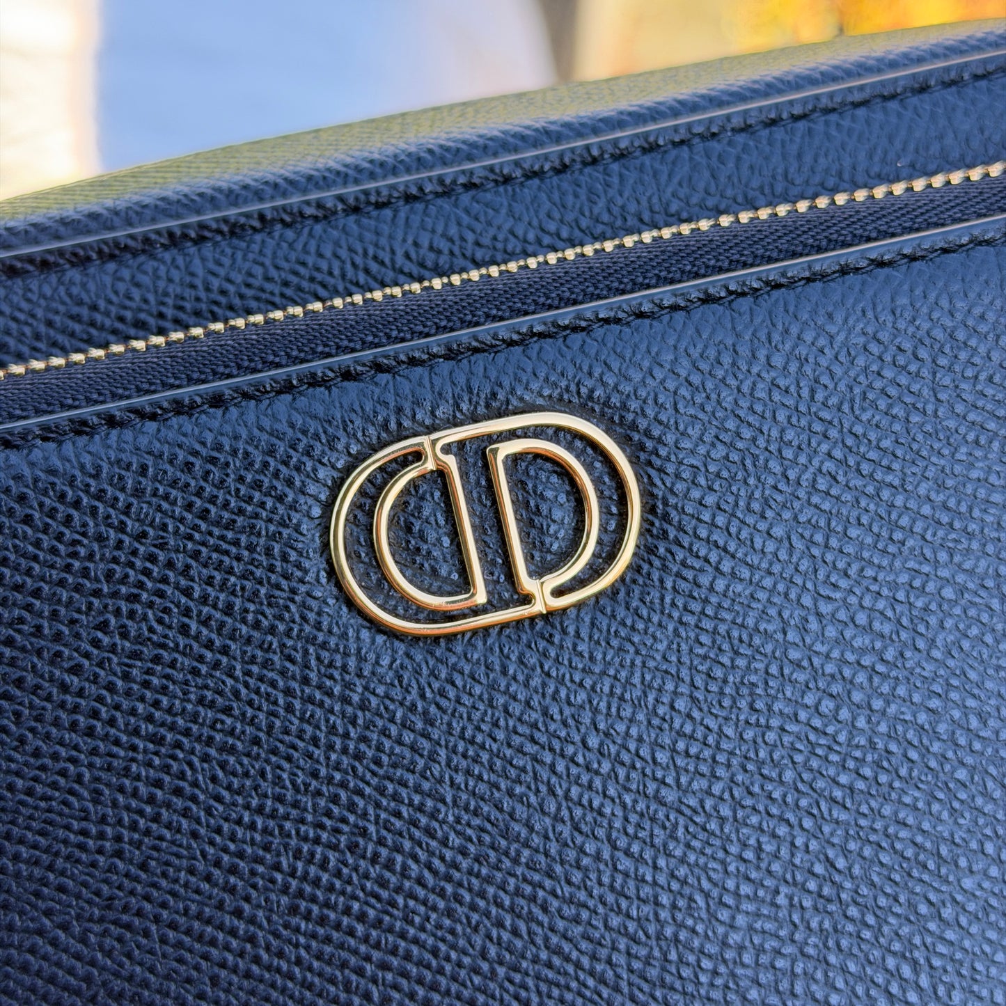 Dior Caro Bag