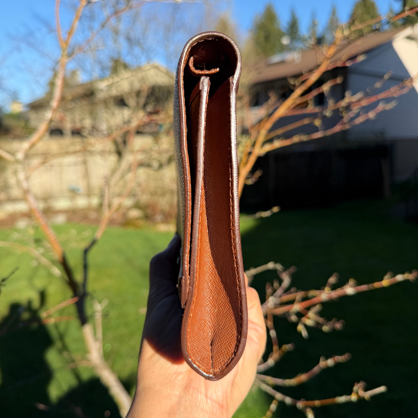 Louis Vuitton Pochette Bordeaux