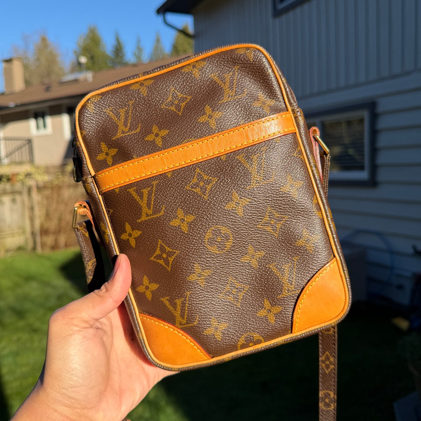Louis Vuitton Danube Bag