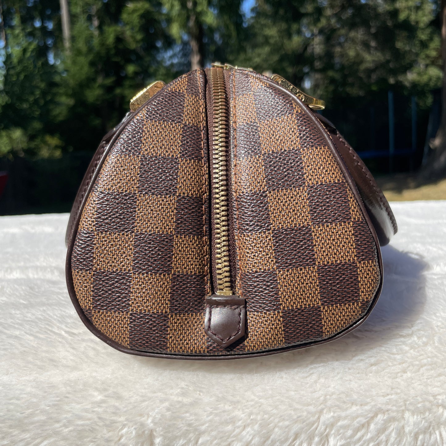 Louis Vuitton Ribera pm