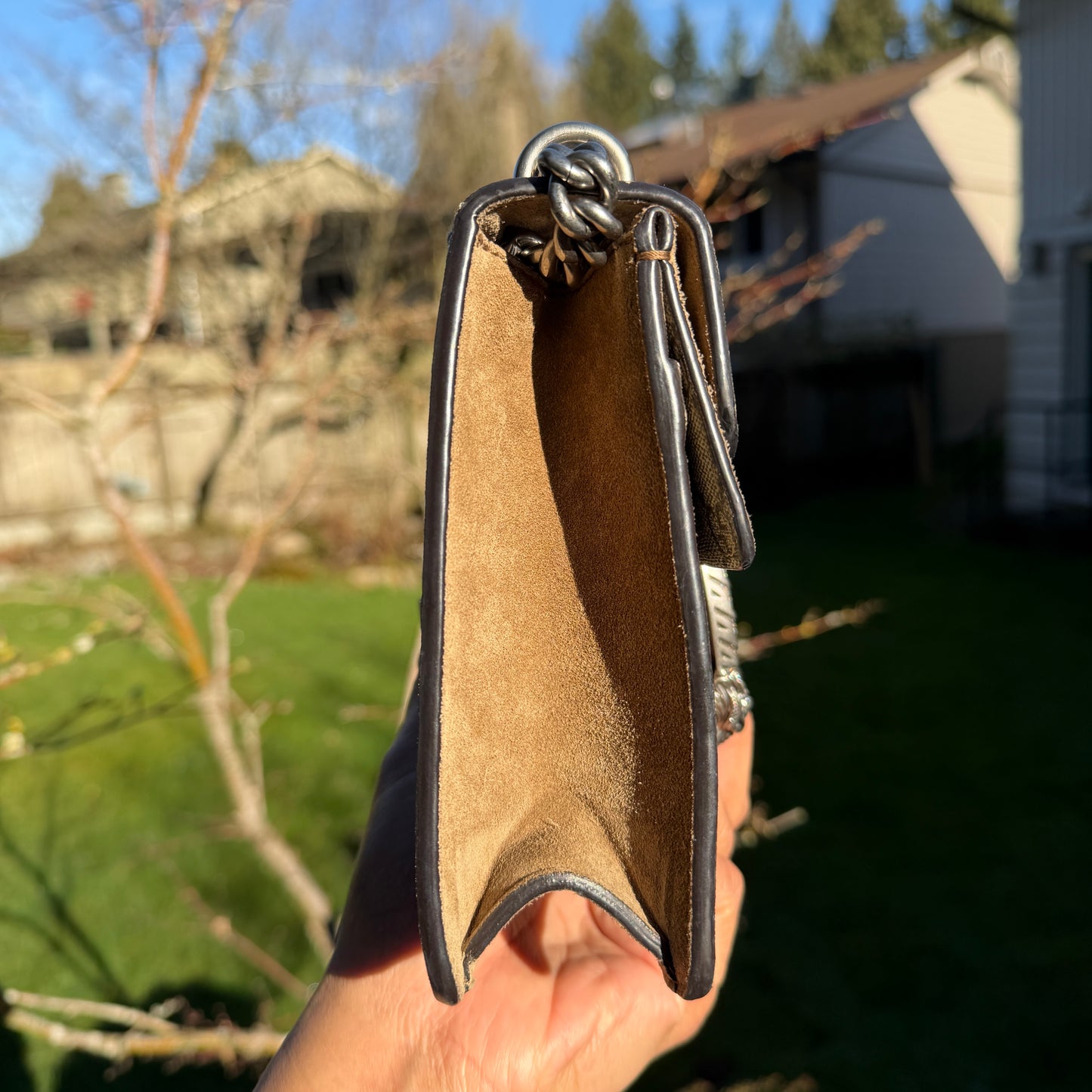 Gucci Dionysus Bag